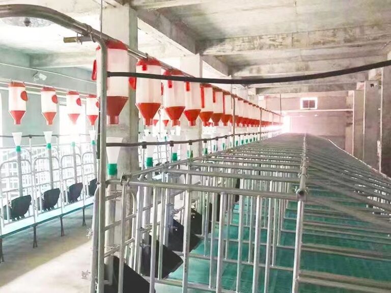 Pig feed line automatic feeding system